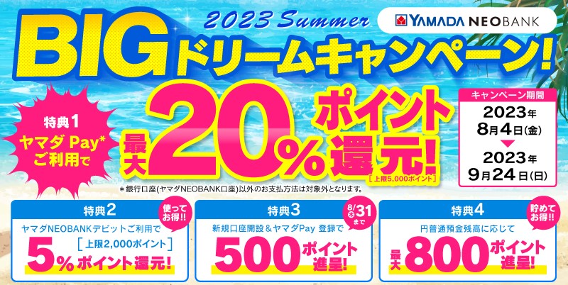 BIGドリームキャンペーン