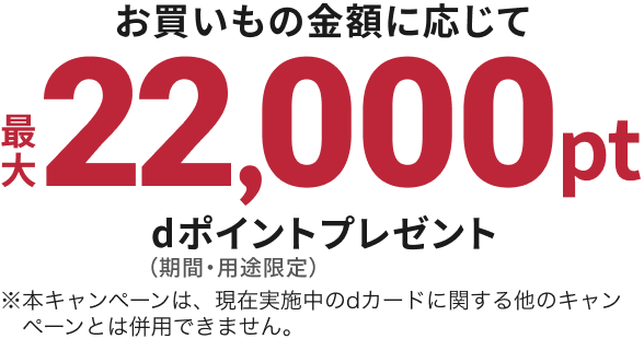 お買いもの金額に応じて最大22,000pt dポイントプレゼント（期間・用途限定）